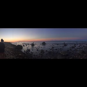 Meet your Posher, Darlyne